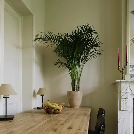 Apartment Magnificent Mansion, Top Location *